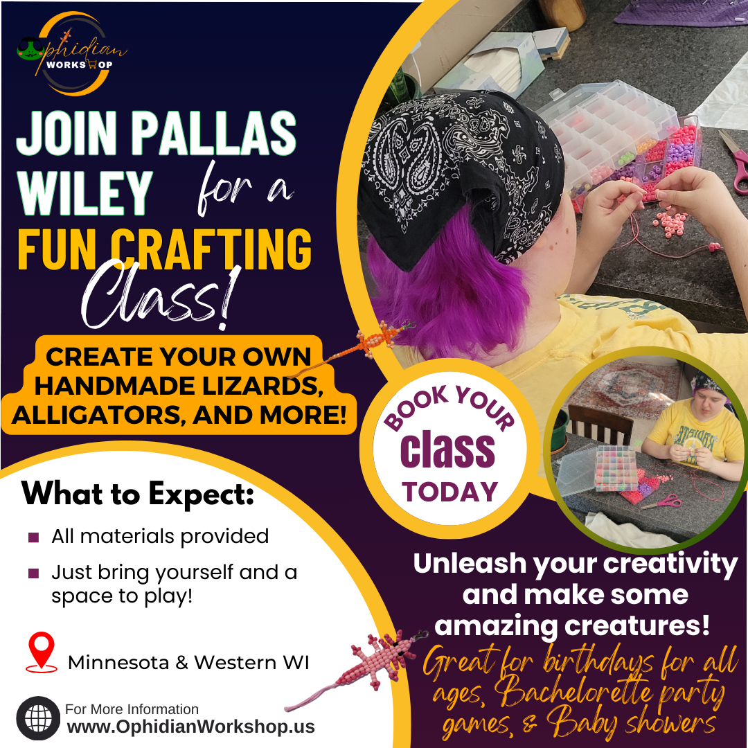 Get Creative with Pallas Wiley!