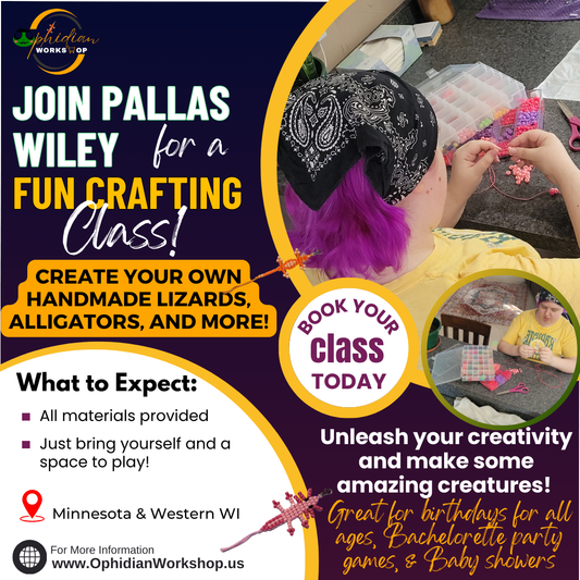 Get Creative with Pallas Wiley!