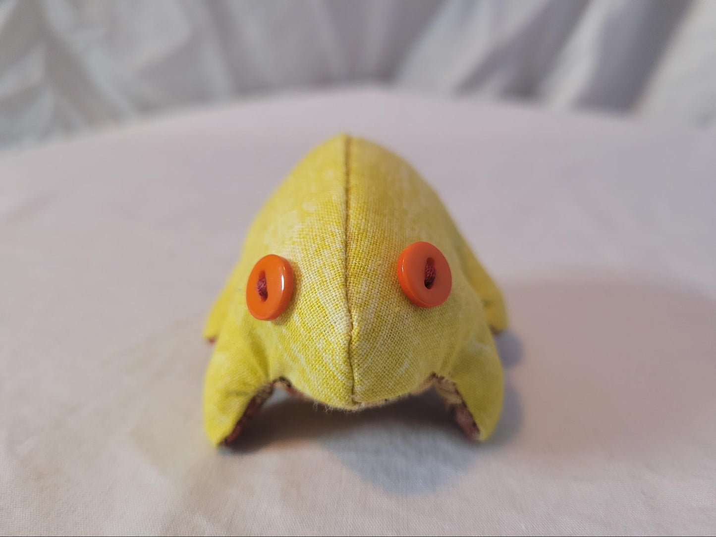 Yellow Top Frog