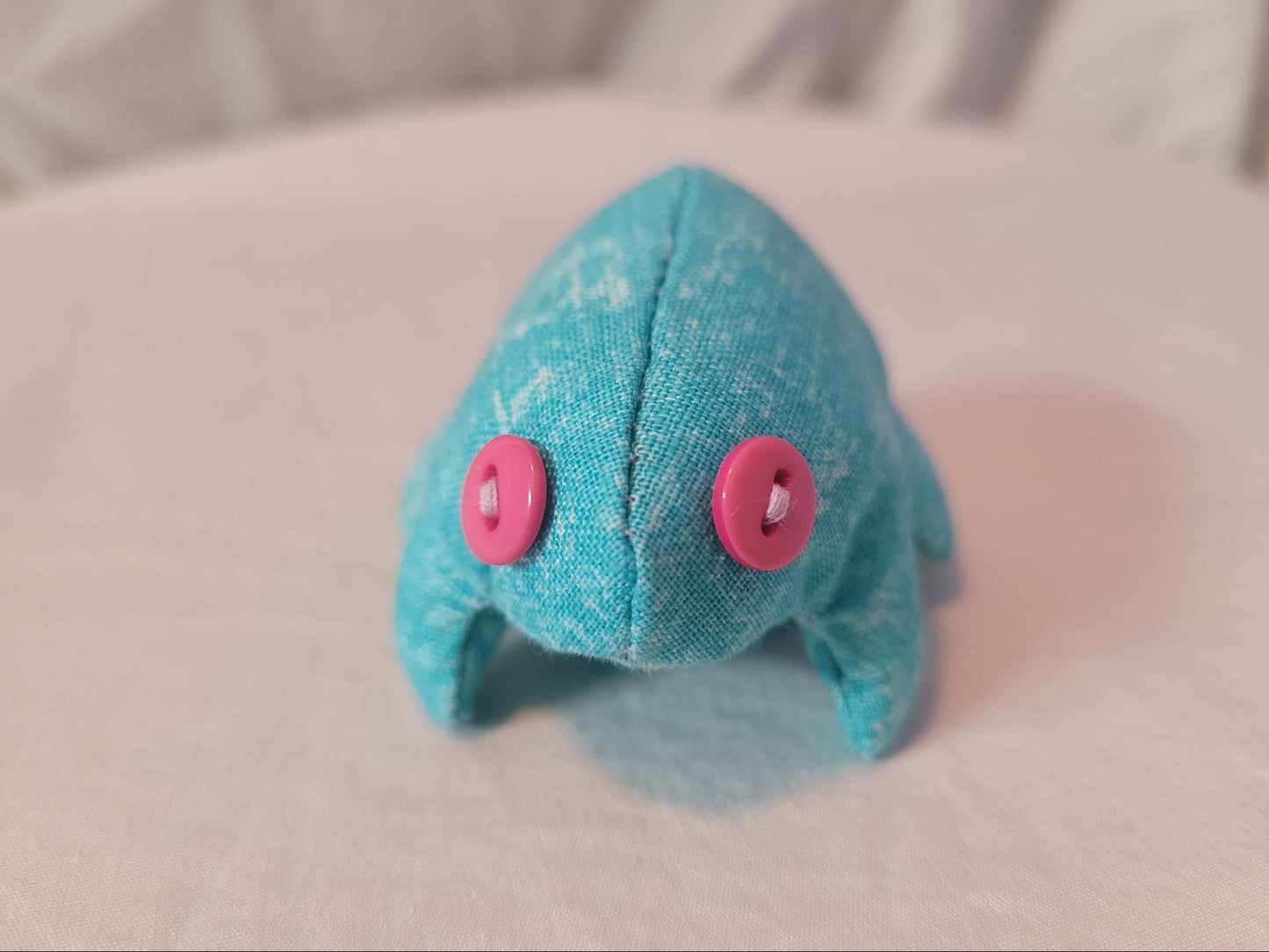 Teal Top Frog